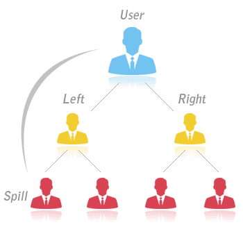 Binary MLM Plan